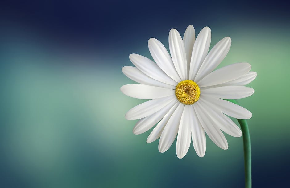 AI and neural networks visualization